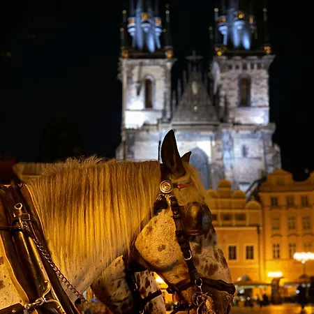 Alchymist Castle Hotel